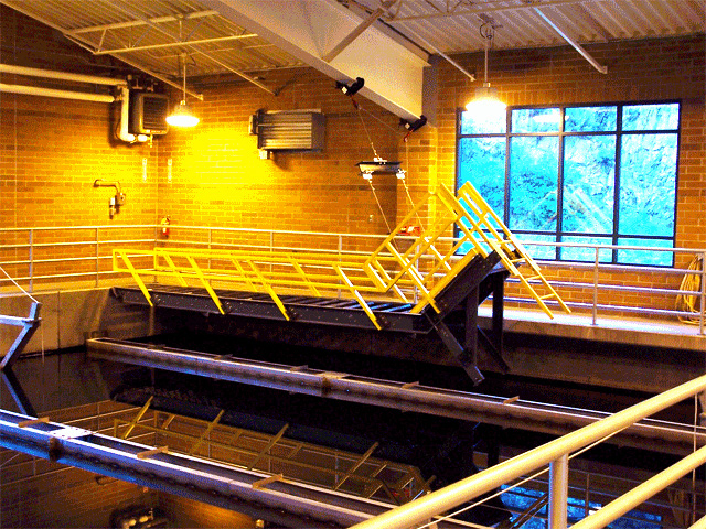 Escalera y Elevador de Plástico Reforzado con Fibra de Vidrio en Planta Tratadora de Aguas Residuales, F R P, P R F V, G R P