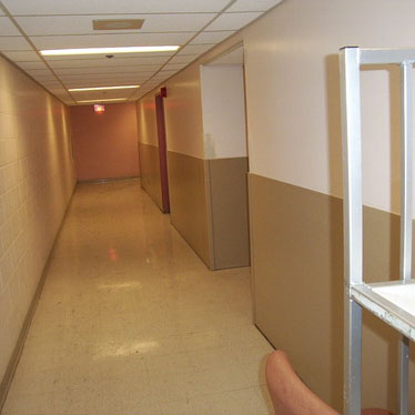 hospital walls, f r p grating, fibergrate flatsheets, fiberglass composite structures